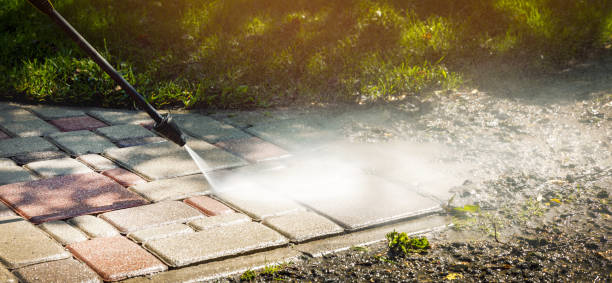 Best Fence Cleaning  in Eldorado, TX